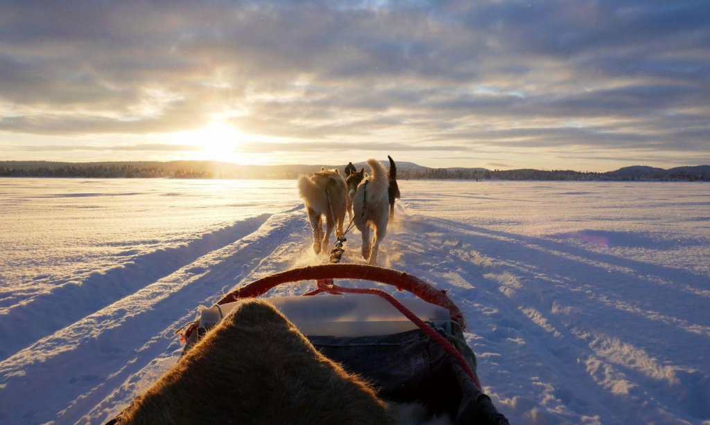 riding in Levi, Finland & 6 about huskies